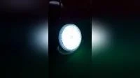  새로운!  !  !  AC12V 30W 5050SMD RGBW/Rgbww 원격 LED PAR56 수영장 전구